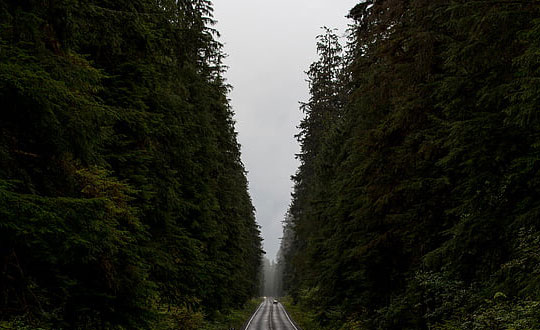 程杰0NZRO70相關(guān)圖片 程杰G8K37G5相關(guān)圖片