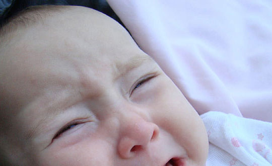 程開顏UX5L5JZ相關圖片 程開顏EY6LKNW相關圖片