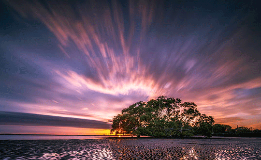 小說女生名字清新現代