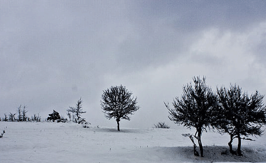 英雄聯盟游戲名字,受歡迎的英雄聯盟游戲名字