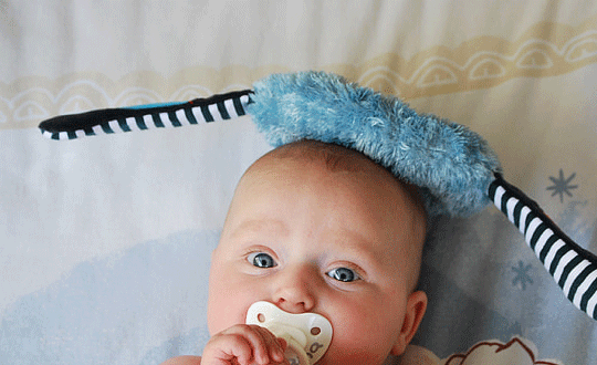 好聽的家族名字古風