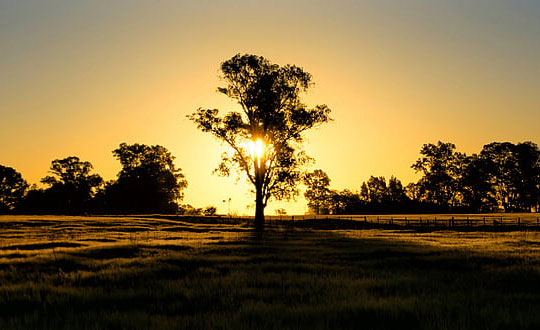 cf最好聽(tīng)的游戲名字