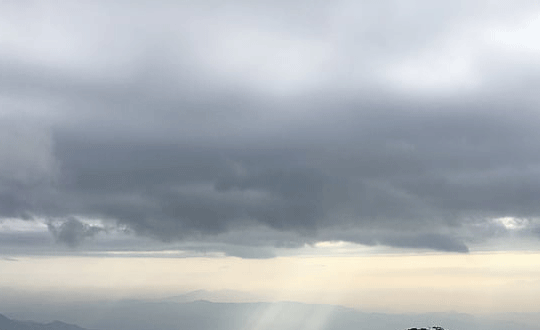 童姓女孩起名字大全