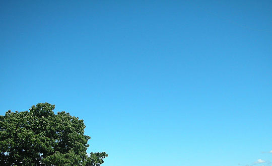 寓意美好有詩(shī)意的女孩名字精選