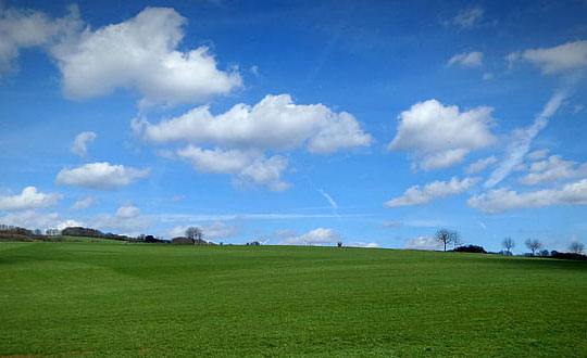 清新優雅的新生兒女孩名字：唯美有內涵