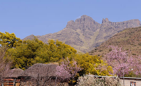 比較時(shí)尚洋氣的女孩寶寶名字：好聽(tīng)字分享