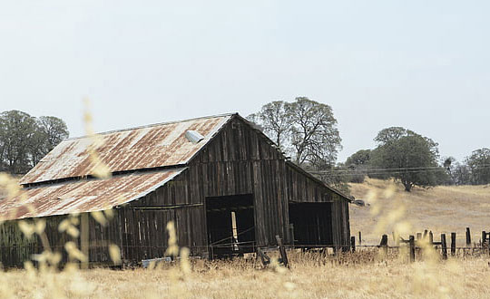 女孩名字好聽有個性的名字大全：取名小技巧