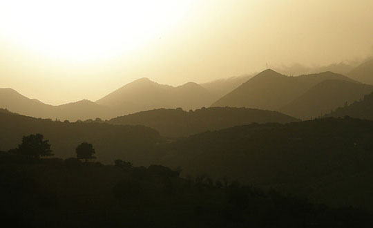 四個字好聽的女孩名字 4個字古風詩意唯美名字