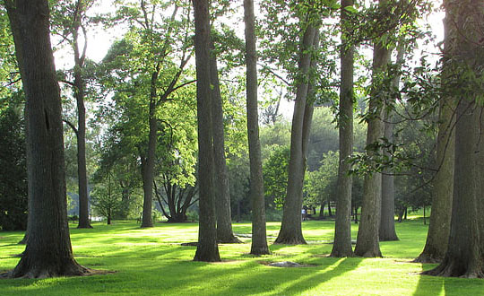 儒雅大氣的女孩名字 小女孩取名：內涵經典