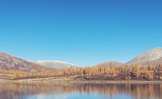   女孩詩經取名,詩經中唯美有文辭的名字：經典推薦