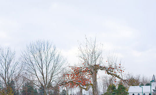 獨特女孩名字,起名字大全女孩100分：起名方法和技巧