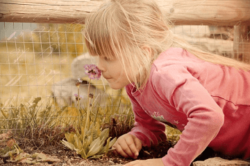 清秀優雅的女孩名字