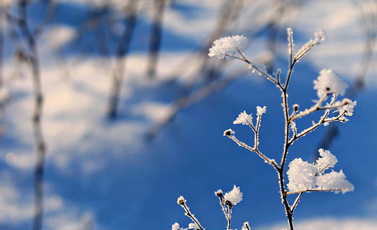 英文取名字大全免費(fèi)