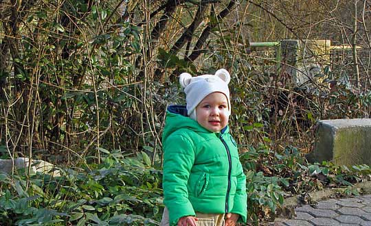 屬狗的那個時辰出生最好，幾點出生最好