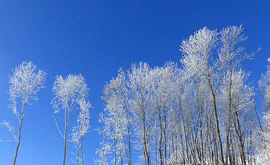 徐姓男寶寶取名,徐姓男孩名字大全：有內涵的起名常用字
