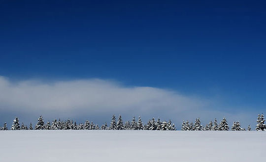 豬:火腿。在迪士尼·皮克斯影片《玩具總動員》里,火腿扮演一個愛說俏皮話的塑料小豬儲蓄罐。他不但是忠誠可靠的好伙伴,而且幫你把零錢存好。