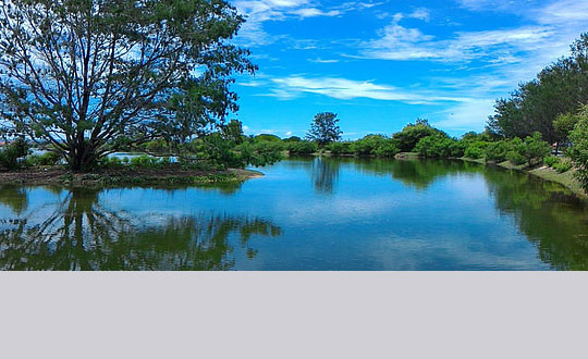 田姓男孩名字 姓田有涵養的男孩名字：獨特經典