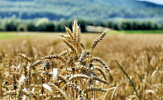 新生兒男孩取名寓意好簡單的名字：取名小技巧參考