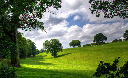 男寶寶詩經楚辭起名字,唐詩宋詞取名大全：唯美大氣