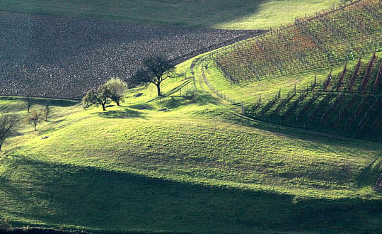 獨特內涵的男生名字,經典取名大全男孩