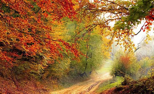 男孩新穎有涵養的名字，好聽的男孩名字大全：詩詞名字分享