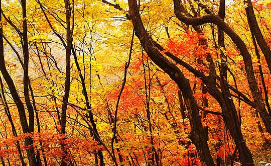 女寶寶起名低調(diào)內(nèi)涵的名字精選:唯美字推薦