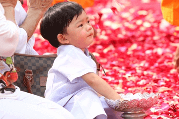 張姓屬兔男孩名字大全之網(wǎng)友問(wèn)答