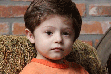 甄子丹怒斥外媒不報道真實中國、甄子丹名字打分，解析