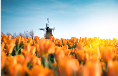 搞笑情侶昵稱一對一，微信網(wǎng)名2024新款（精選30款）