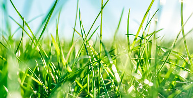 比較順口的三個(gè)字公司名字