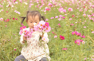 2024龍年命帶富貴的龍寶寶名字，個(gè)個(gè)好運(yùn)連連！