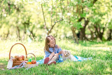 龍寶寶“璟”子福氣兄妹名，龍寶寶跟璟字最配的字
