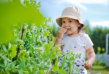 女孩起名丨龍年女寶寶寓意好名字，能有多文藝！