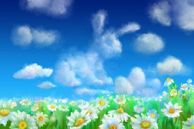 關于蔬菜品牌的名稱