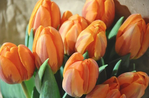 “改個(gè)茶系微信網(wǎng)名” 用茶取網(wǎng)名，高雅爆好聽