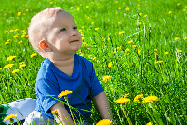 女孩起名丨詩經楚辭起名女孩屬蛇