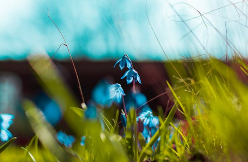 分享60個古風昵稱詩意仙氣