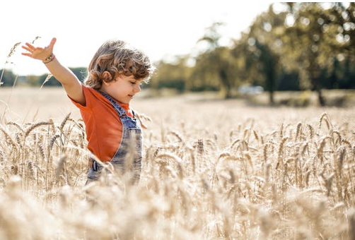 姓焦應該取啥名，看看姓焦的大氣溫柔的名字推薦