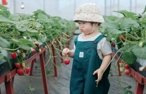 倪姓起名丨倪姓女孩有氣質的名字，朗朗上口
