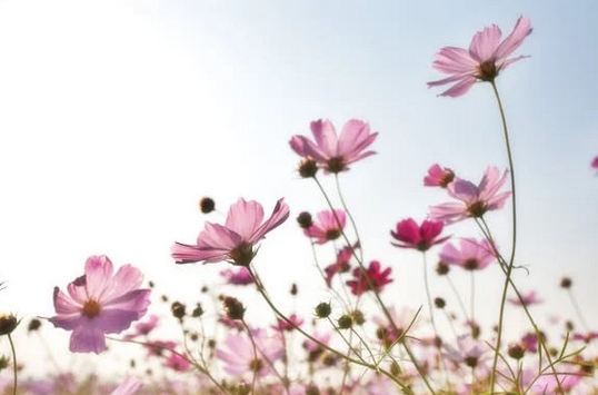 70后女人簡(jiǎn)單大氣的網(wǎng)名  70年后微信網(wǎng)名簡(jiǎn)單又好聽(tīng)