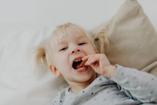 帶木帶艸吉利的男孩名字精選,不可錯過!