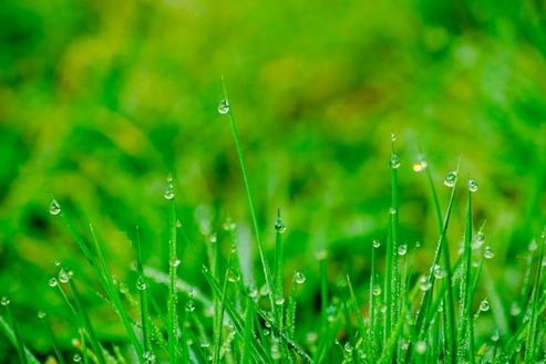 聽了就忘不掉！有記憶點的店名推薦