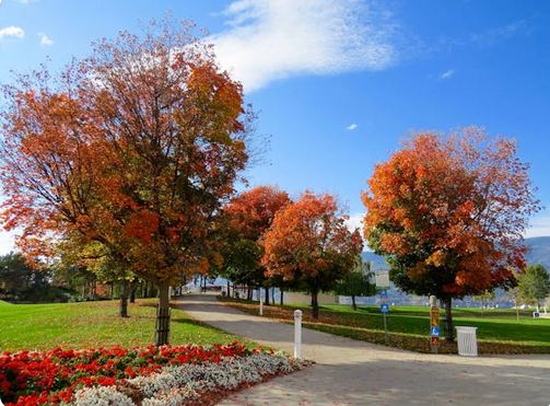 二字網名推薦！用一輩子都高級的網名