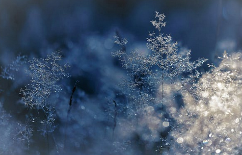 m.yipine.com.cn 起名網免費起名圖片