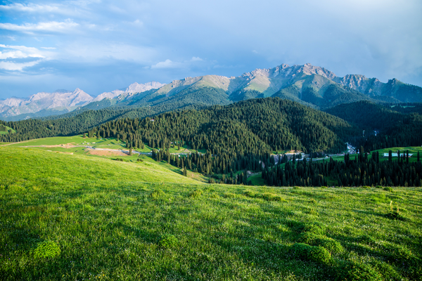 30個帶財富密碼公司名字，順風又順水