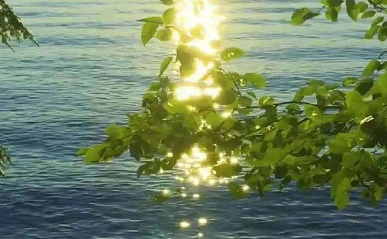 網名起名丨越品越香的永久微信名字