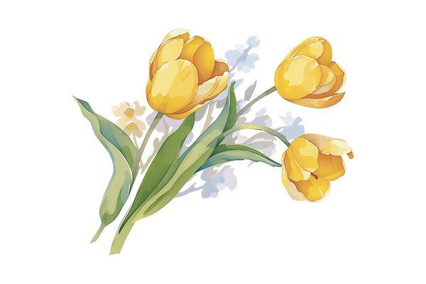 ?2025年好聽脫俗的微信網(wǎng)名分享