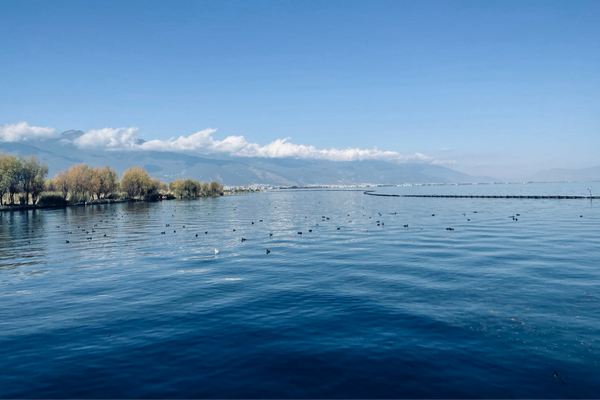 獨特又撩人的昵稱二字,網名取名