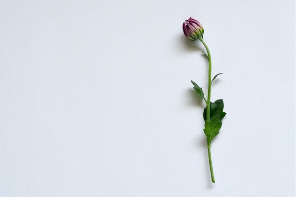 無畏契約游戲id取名鬼才，哪一個你敢用？