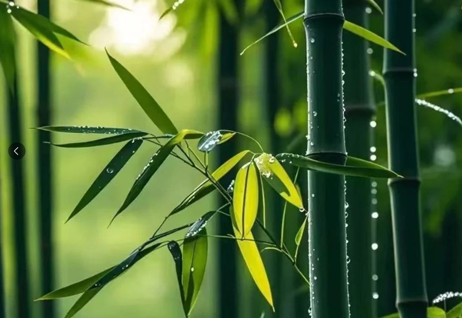 網名起名,小眾網名高級簡短分享